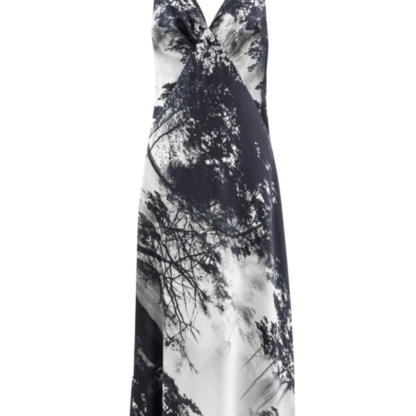 Saiid Kobeisy Printed Midi Dress