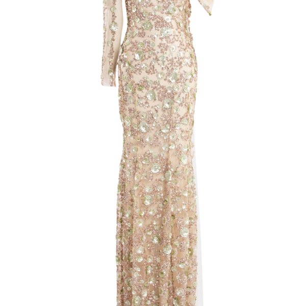 Saiid Kobeisy Tulle One-Shoulder Sleeve Dress With Dotted Beading