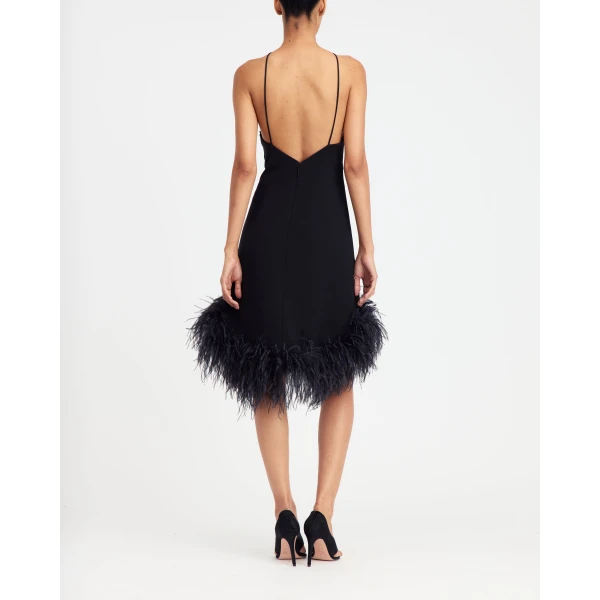 16Arlington Addy Mini Dress, view 4