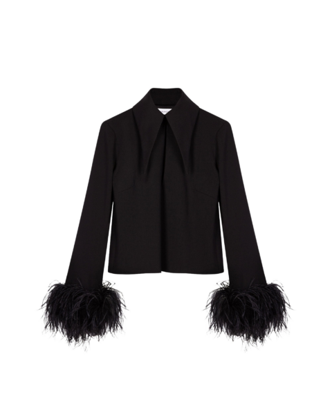 Elevate your elegance in this 16 Arlington Tops from the luxury feather dress edit