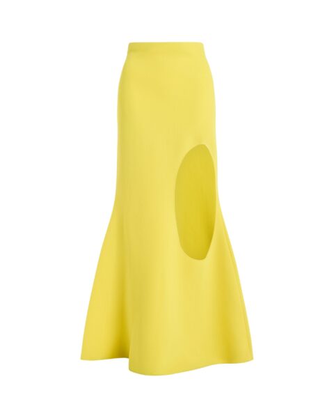 A.W.A.K.E. MODE skirt