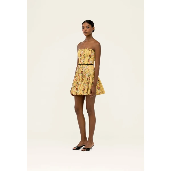 Agua By Agua Bendita Caudal Paramo Mini Dress, view 4