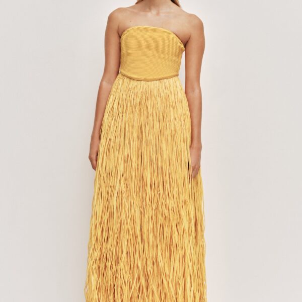 Aje Florentia Raffia Maxi Dress, view 2
