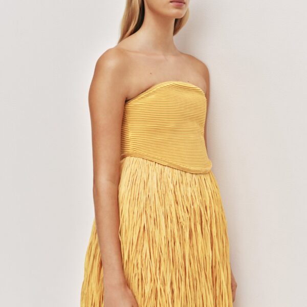Aje Florentia Raffia Maxi Dress, view 4