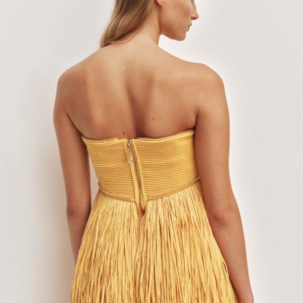 Aje Florentia Raffia Maxi Dress, view 6