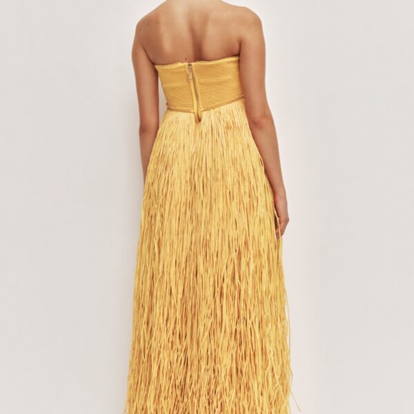 Aje Florentia Raffia Maxi Dress, view 7