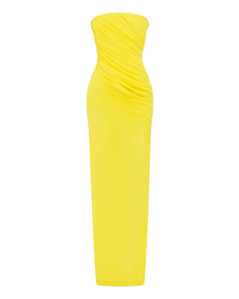 alex perry stretch mesh gown