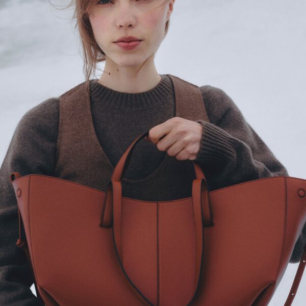 Polene Cyme in Red Clay Bag, view 3