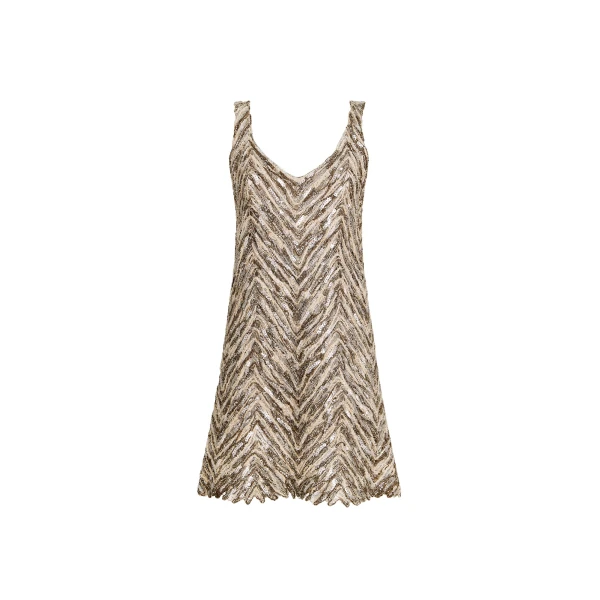 Brunello Cucinelli Dazzling chevron embroidery mini dress in Brown