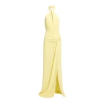 Elie Saab Cady Long Dress