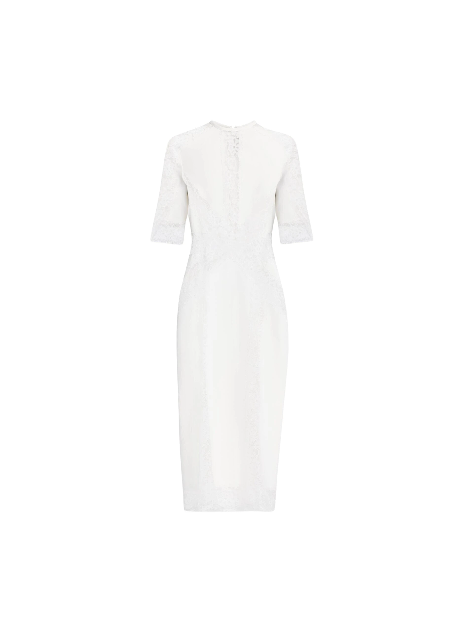 Elie Saab Cady and Lace Dress