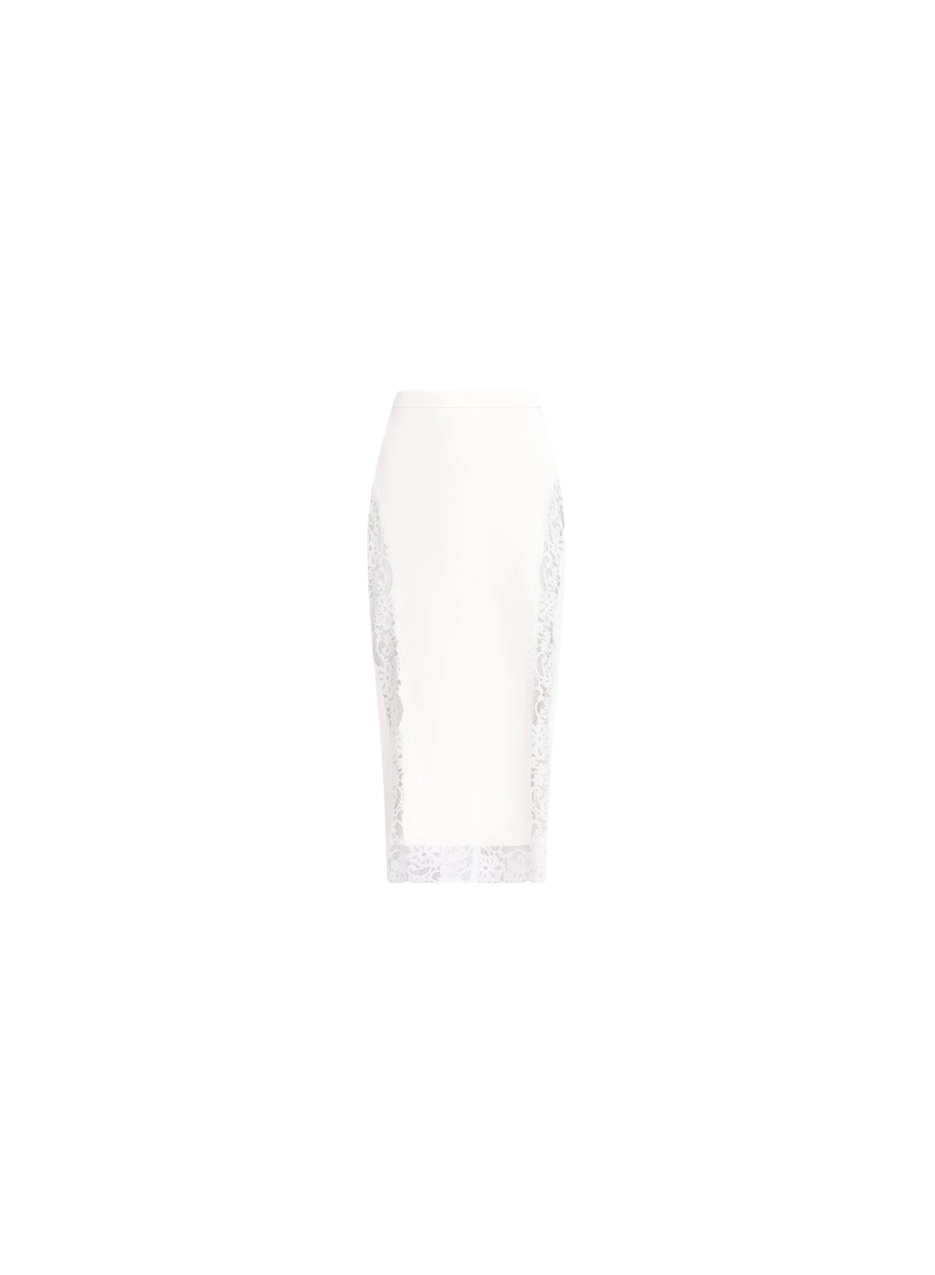 Elie Saab Cady and Lace Skirt