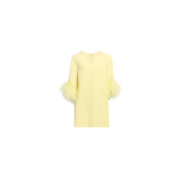 Elie Saab Feather Trimmed Top