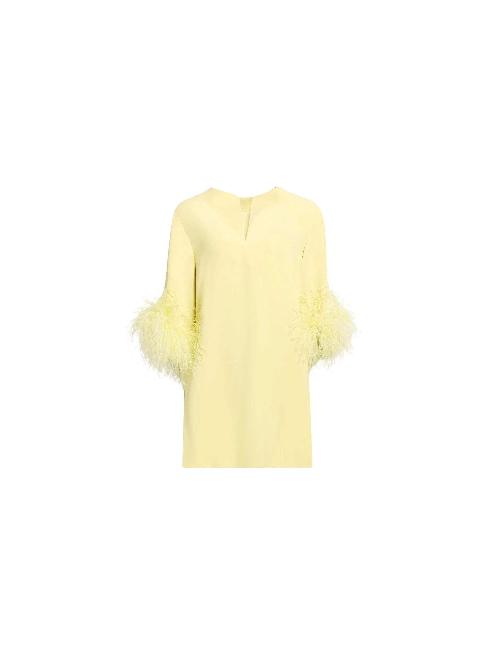 Elie Saab Feather Trimmed Top