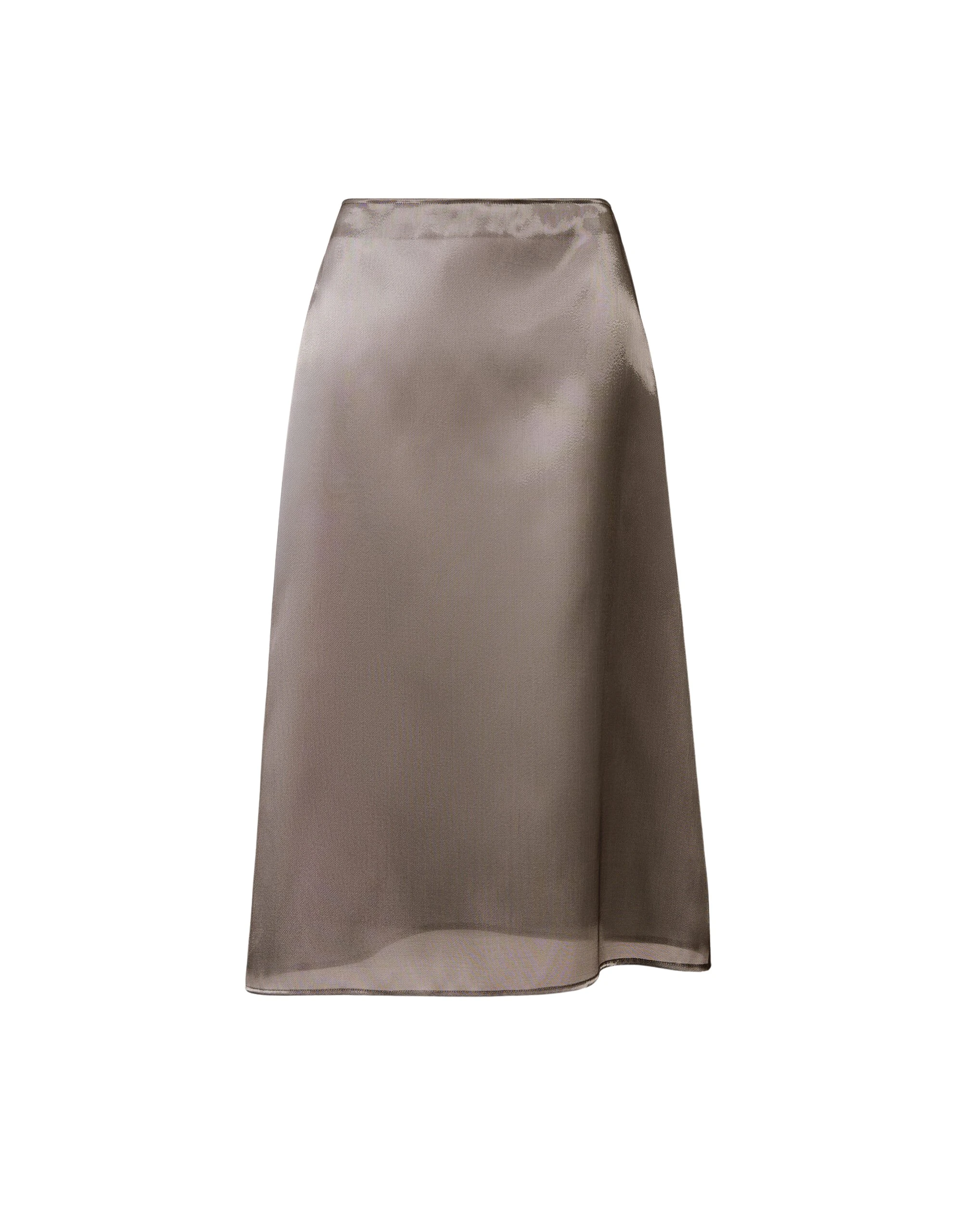 Fabiana Filippi Midi Skirt in Water-Reflective Organza, Shadow