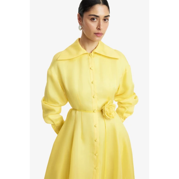 Leo Lin Josephine Silk Gown, view 6