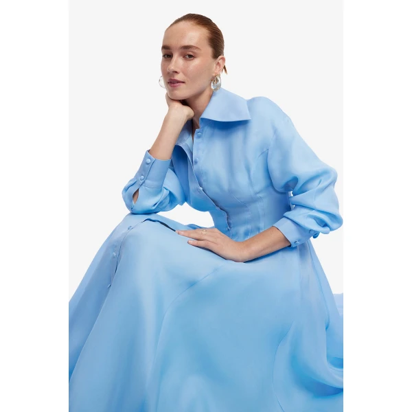 Leo Lin Josephine Silk Gown, view 6