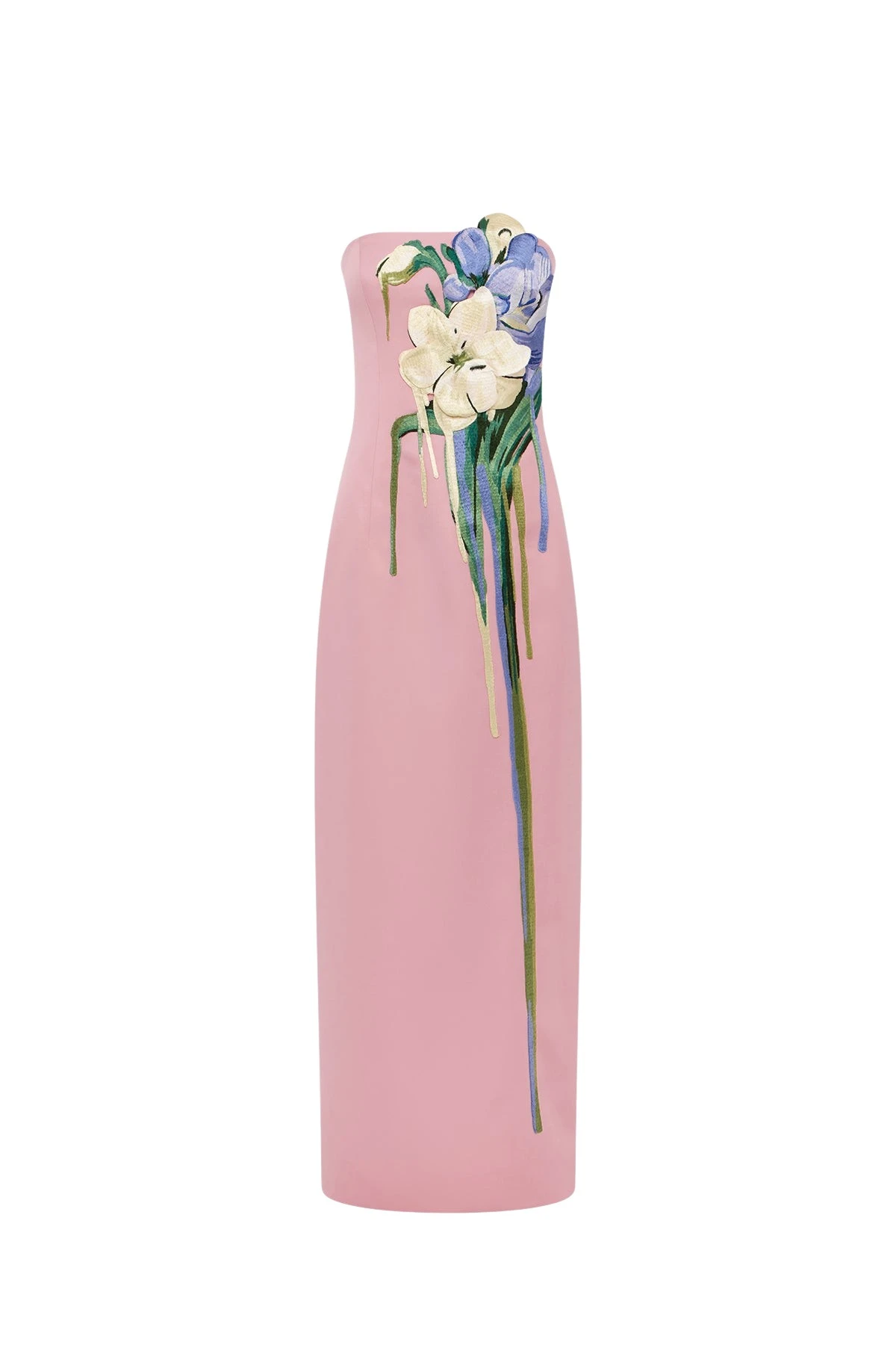 Leo-Lin-Rayna-Embroidered-Bustier-Maxi-Dress74999_nobg Leo Lin Rayna Embroidered Bustier Maxi Dress