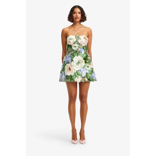 Leo Lin Roselle Floral Hand Embroidered Bustier Mini Dress, view 2