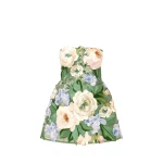 Leo Lin Roselle Floral Hand Embroidered Bustier Mini Dress