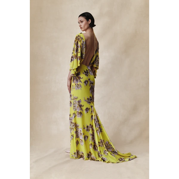 Rasario Devoré velvet maxi dress with cowl back and train in Black, view 2