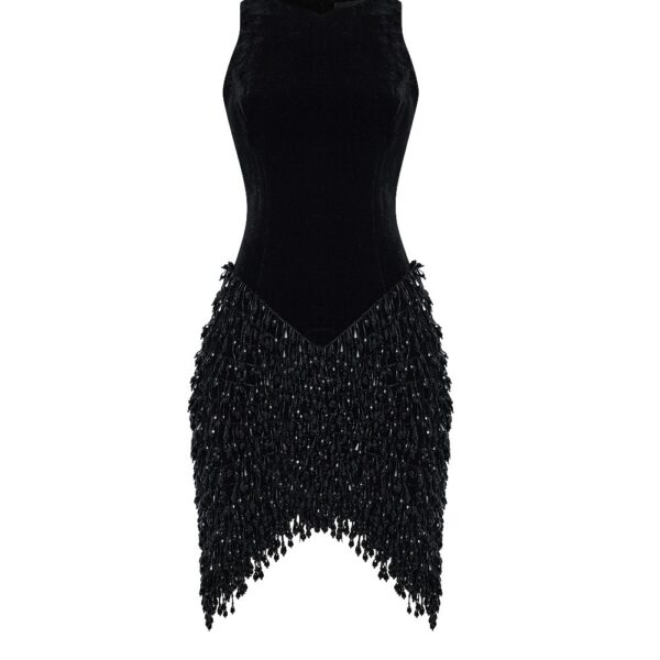Rasario Velvet mini dress with fringe trim in Black