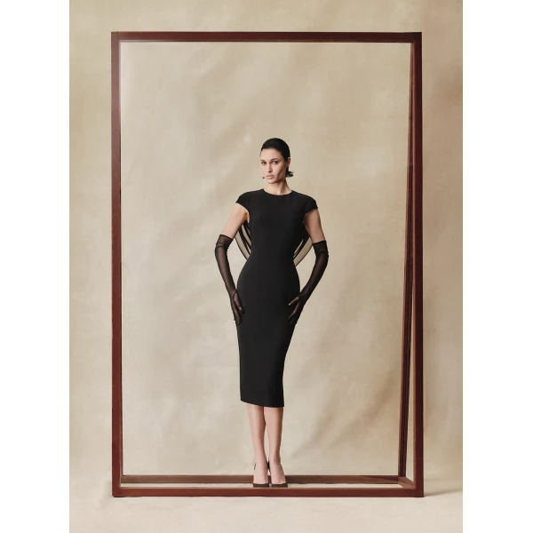 Rasario Viscose and silk midi dress with cowl back in Black, view 2
