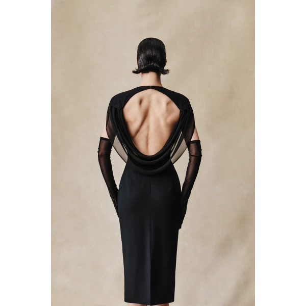 Rasario Viscose and silk midi dress with cowl back in Black, view 5