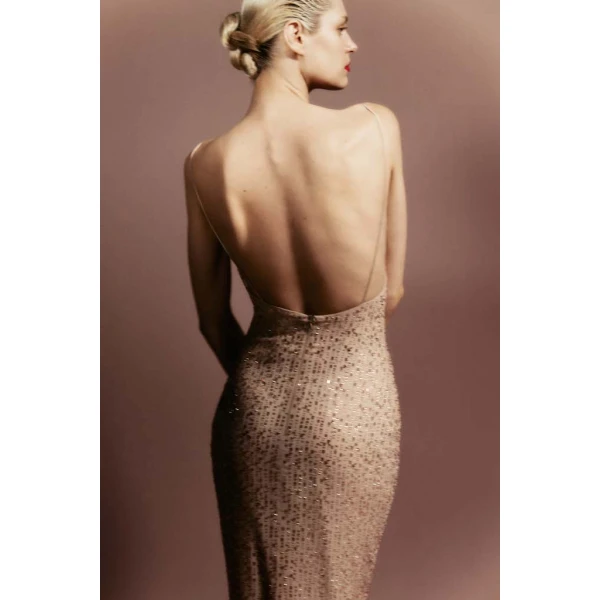 Rasario Crystal-embellished chiffon maxi dress with a slit in Blue, view 4