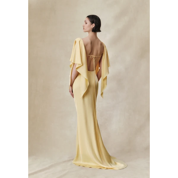 Rasario Viscose crepe maxi dress with draping and open back in Green, view 2