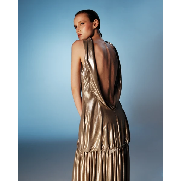 Rasario Chiffon maxi dress with an open back in Silver, view 4