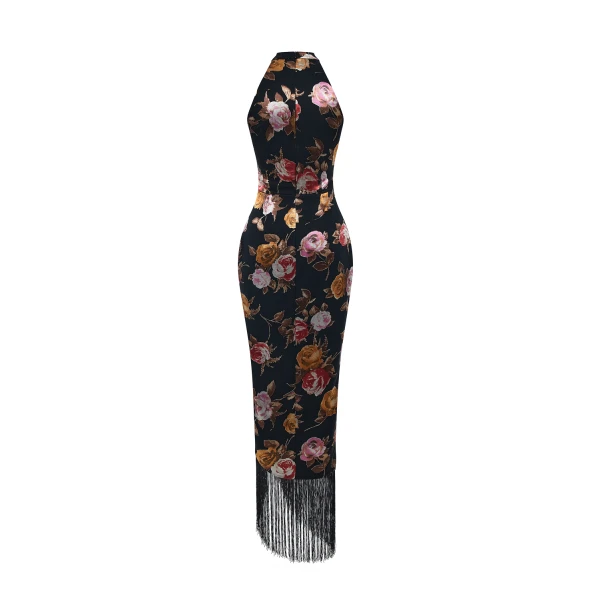 Rasario Chiffon-devoré maxi dress with fringe trim in Black and Pink, view 4