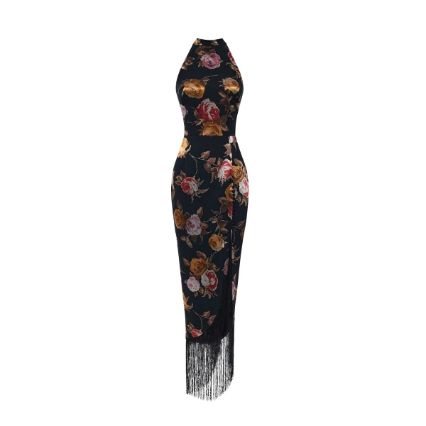 Rasario Chiffon-devoré maxi dress with fringe trim in Black and Pink