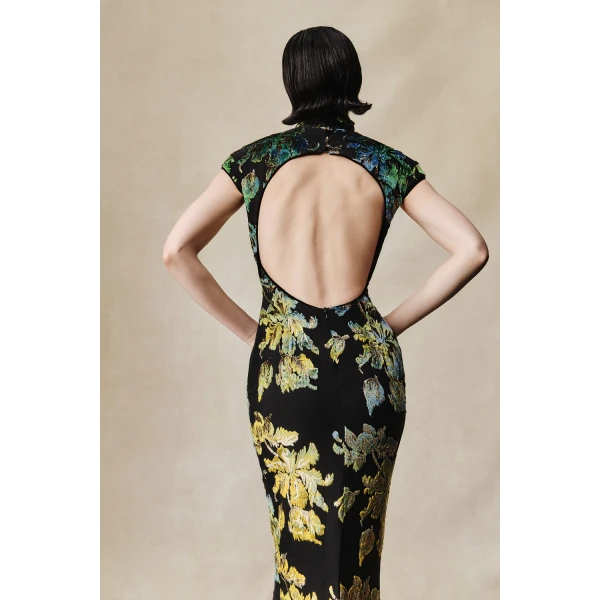 Rasario Devoré velvet midi dress with beaded fringe in Black and Green, view 5