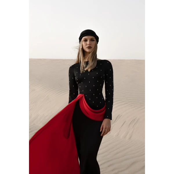 Rasario Embroidered satin maxi dress with drapery and train in Black and Red, view 4