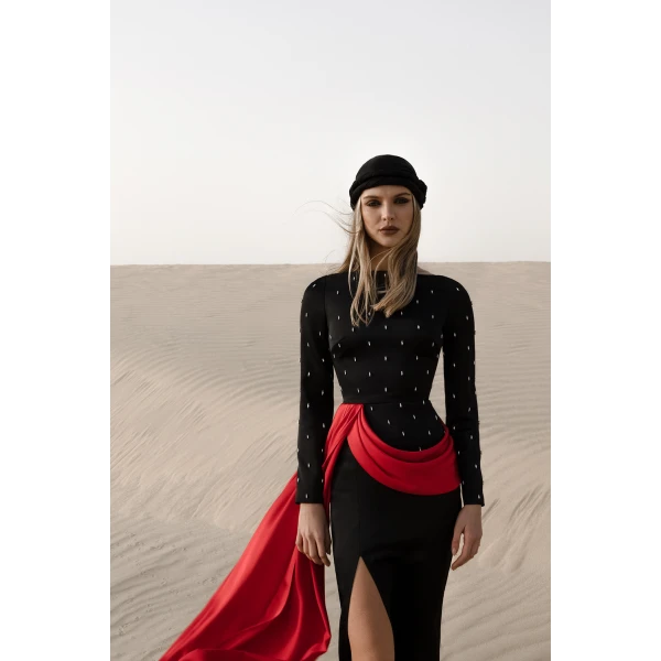 Rasario Embroidered satin maxi dress with drapery and train in Black and Red, view 5