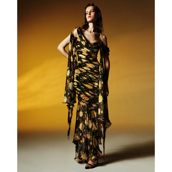 Rasario Printed silk chiffon maxi dress in Black and Yellow, view 3