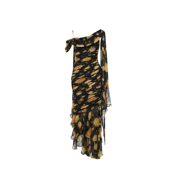 Rasario Printed silk chiffon maxi dress in Black and Yellow, view 4