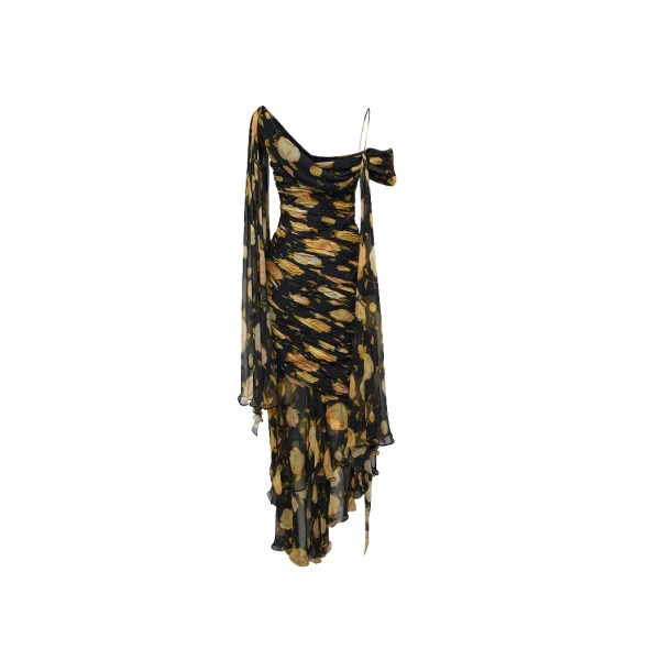 Rasario Printed silk chiffon maxi dress in Black and Yellow