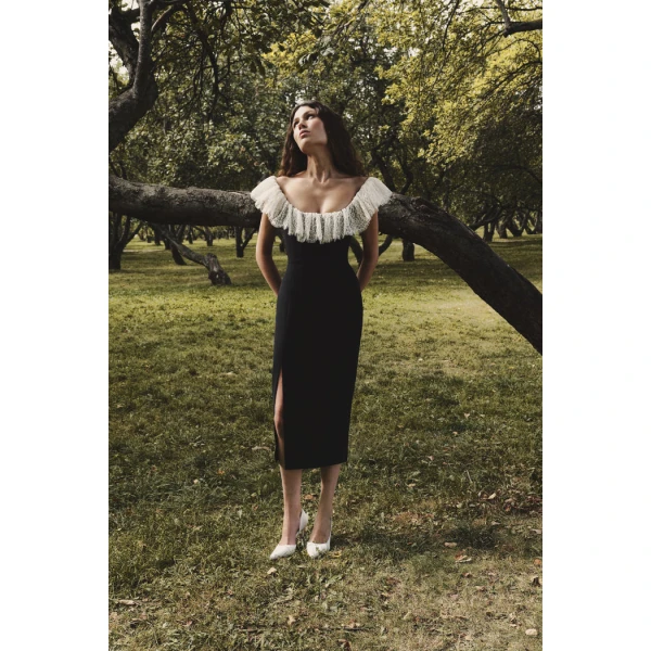 Rasario Velvet and lace midi dress in Black and White, view 2