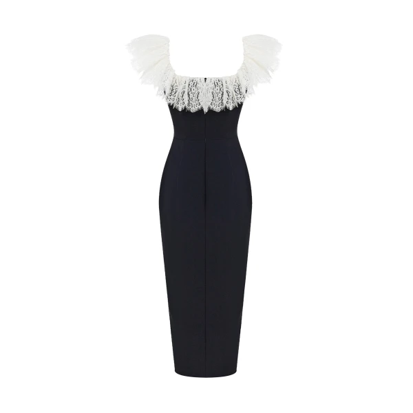Rasario Velvet and lace midi dress in Black and White, view 3