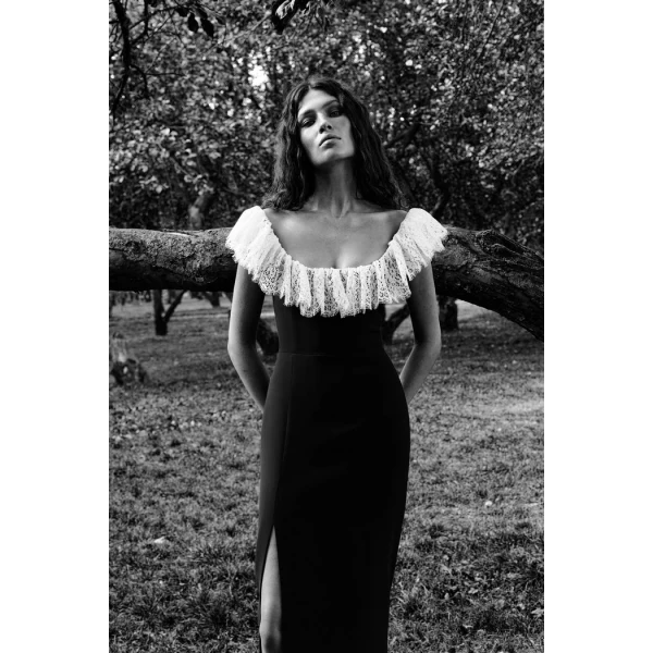 Rasario Velvet and lace midi dress in Black and White, view 4