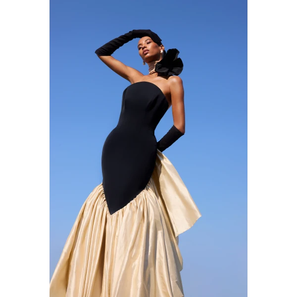 Rasario Viscose and silk corset maxi dress with ruffles in Black and Gold, view 5