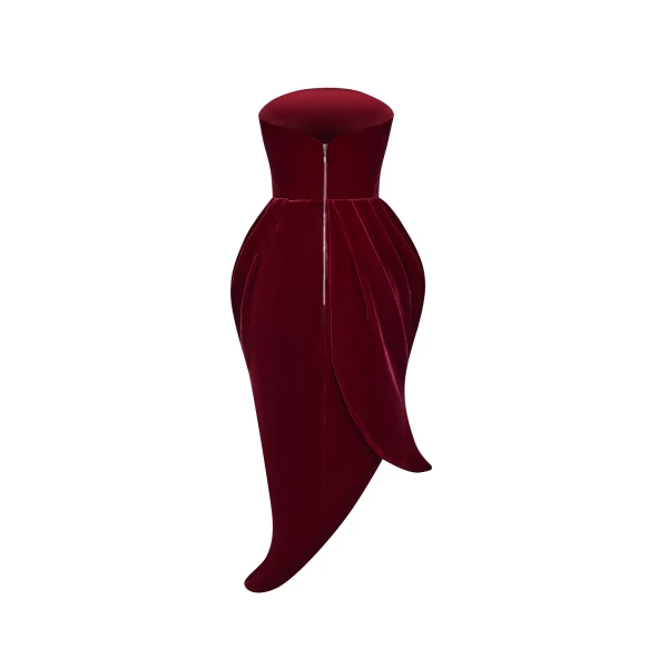 Rasario Asymmetrical velvet corset midi dress in Burgundy, view 3