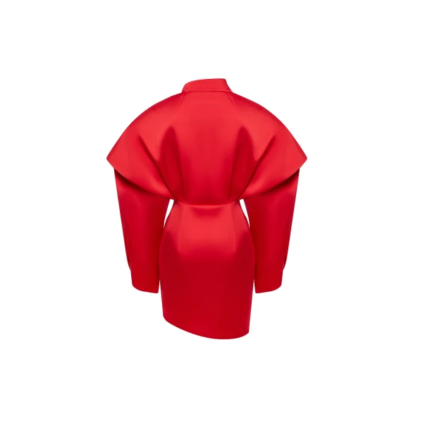Rasario Satin mini dress in Red, view 4