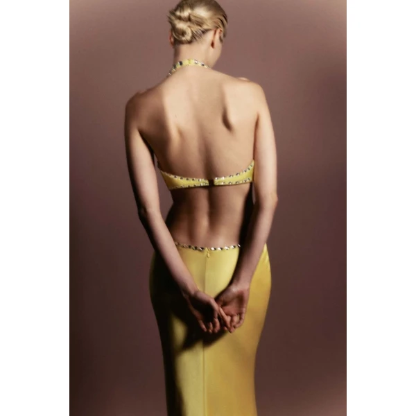 Rasario Crystal-embellished satin maxi dress with cutouts in Yellow, view 4