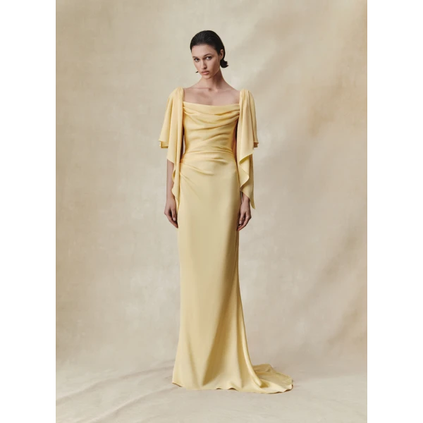 Rasario Viscose crepe maxi dress with draping and open back in Yellow, view 3