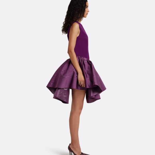 Safiyaa Camille Mini Dress in Currant, view 5