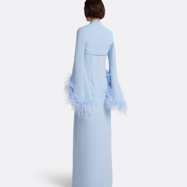 Safiyaa Elise Harness with Maddison Long Dress in Soft Sky with Feathers, view 3