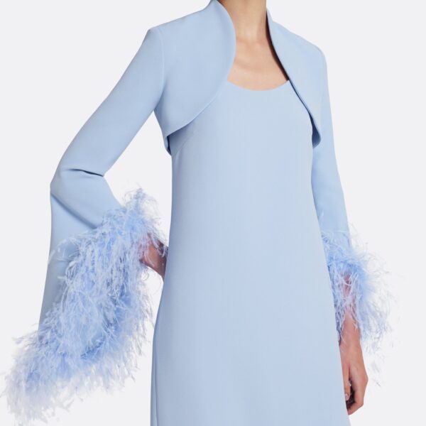 Safiyaa Elise Harness with Maddison Long Dress in Soft Sky with Feathers, view 4